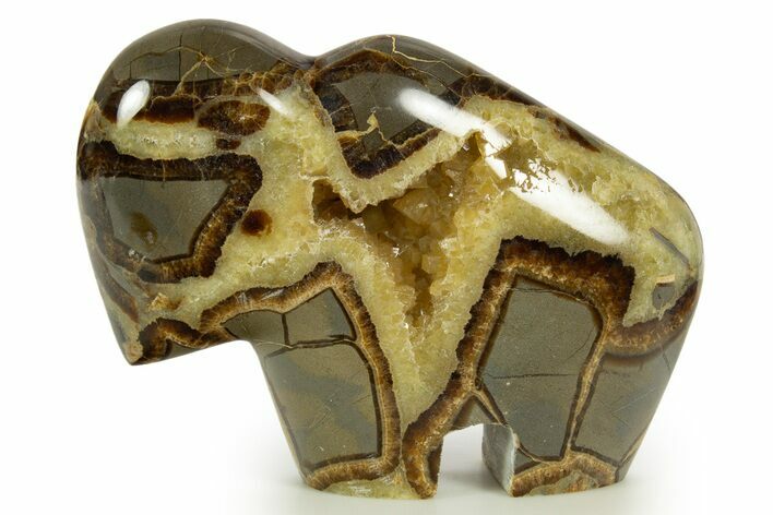 Calcite-Filled Polished Septarian Bison - Utah #344824